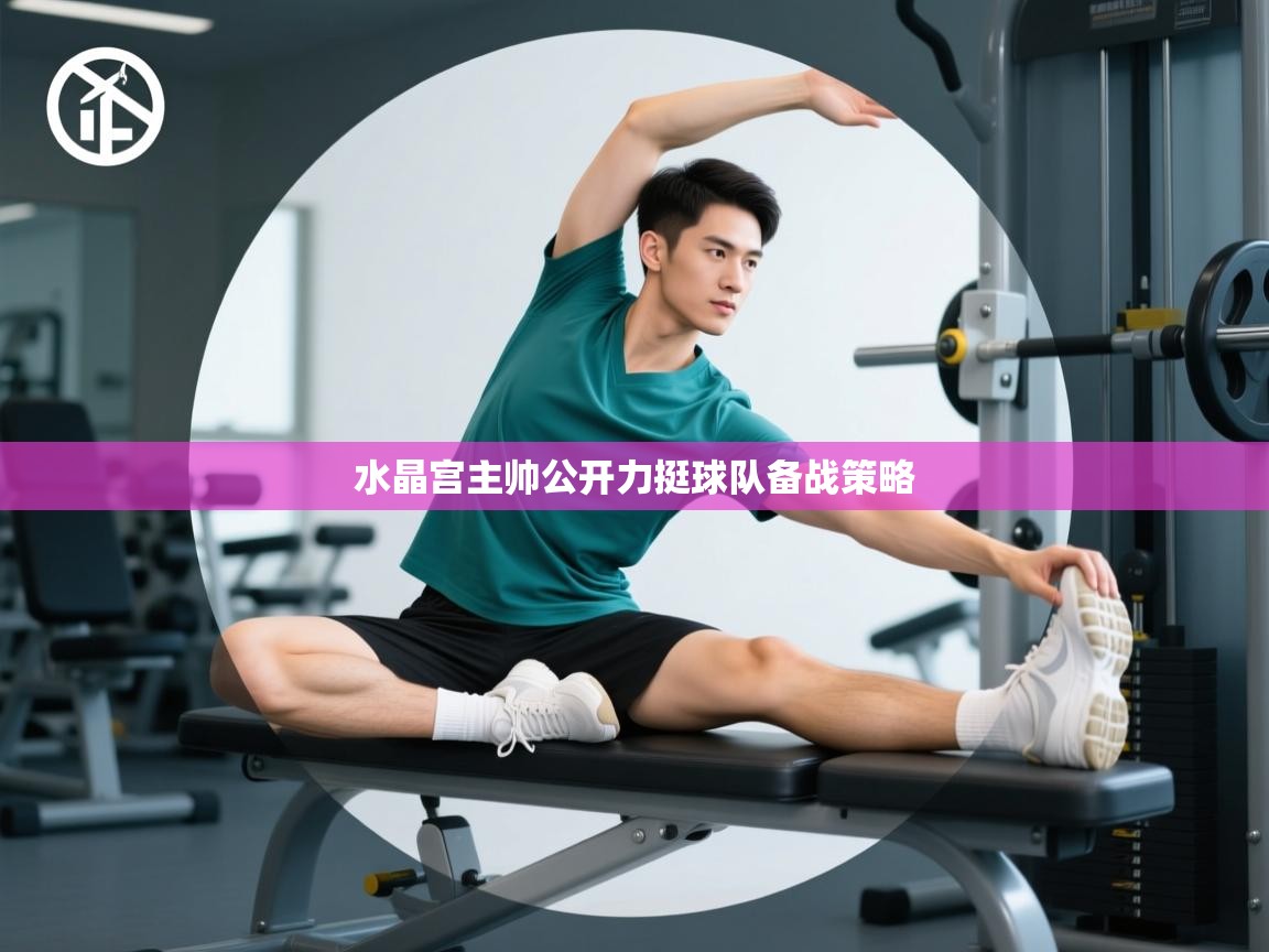 水晶宫主帅公开力挺球队备战策略