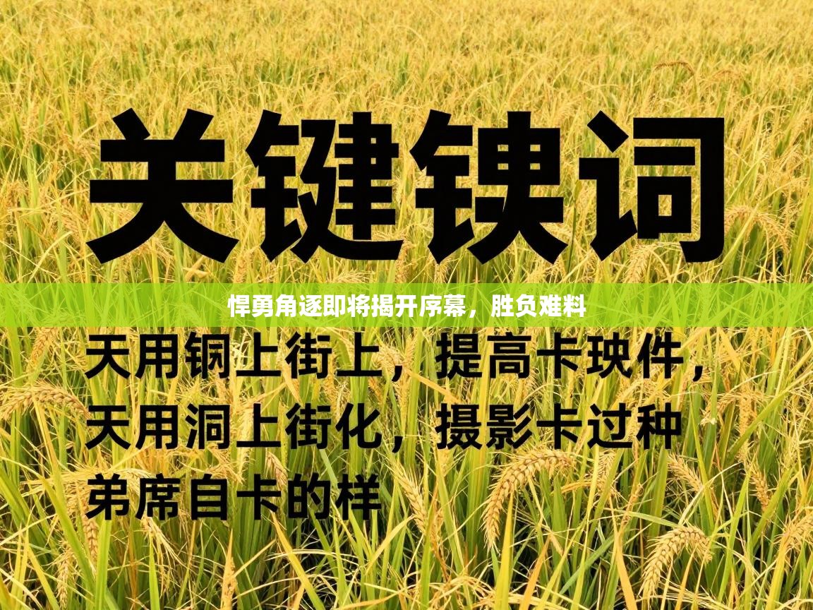 悍勇角逐即将揭开序幕，胜负难料